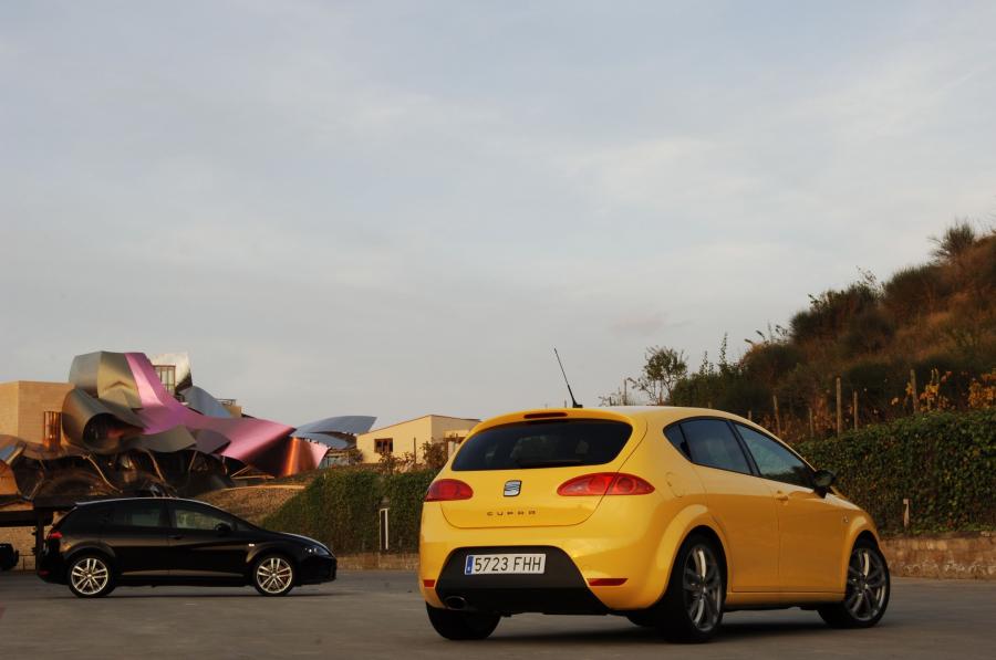  Seat Leon Cupra 2008 года  (фото 60 из 84)